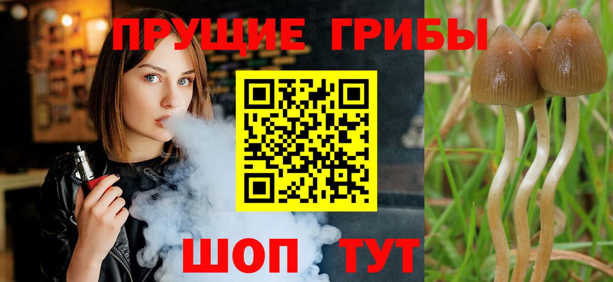 Симферополь  Галлюциногенные грибы прущие грибы  Вход с VPN  Галлюциногенные грибы мицелий 